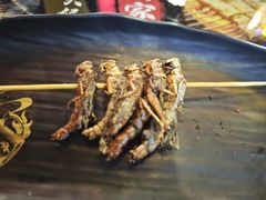 -纪录片《人生一串》体验店(静安店)