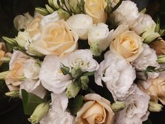 -静岸花卉园艺(三星坊店)