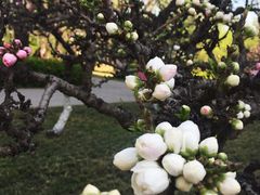 -玲珑塔公园