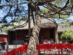 -红螺寺