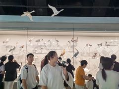 -中国湿地博物馆
