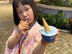 -Vola Gelato意大利手工冰淇淋(朝阳大悦城店)