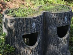 -五凤溪古镇