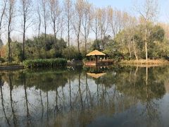 -溱湖国家湿地公园