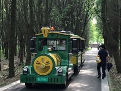 -同里国家湿地公园