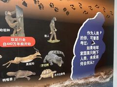 -天津自然博物馆