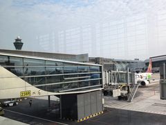 -广州白云国际机场-T2航站楼