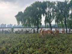 -唐山河头老街国丰维景度假大酒店