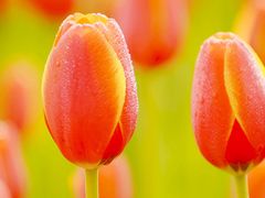 -长春公园(普阳街道)