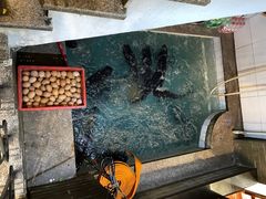 -旭龙鱼头王(航华店)
