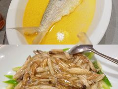 -新光酒家·河豚·海鲜·蟹料理(浦东店)