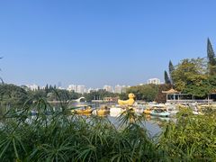 -荔枝公园(福田区)