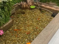 -松坂屋日料自助(长城路店)
