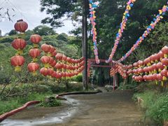 -松山湖梦幻百花洲