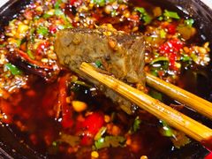 -厂花素芬九宫格火锅(益州大道店)