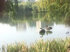 -浙江农林大学(东湖校区)