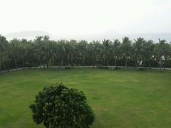 android_upload_pic-三亚亚龙湾红树林度假酒店