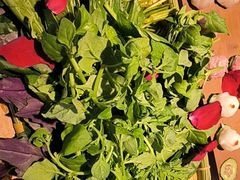 -慢丽江·云南野生菌土鸡锅(付家庄店)