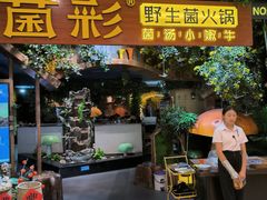 -菌彩云南野生菌火锅(呈贡七彩云南第壹城店)