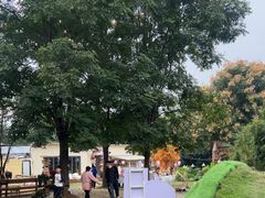 -HERRE·FARM 赫尔露营农场·团建聚会包场