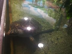 -苏州海洋馆