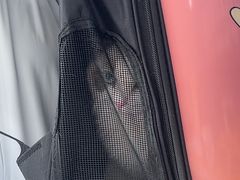 -芭比堂动物医院·CT·微创中心(新顺分院)