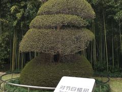 -苏州河梦清园环保主题公园