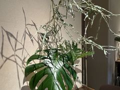 -Carmen卡门西班牙餐厅