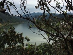 iphone_upload_pic-新安江山水画廊风景区