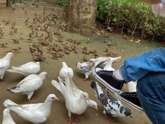 -西安大兴善寺