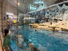 -帝企鹅自助餐厅•儿童岛•真企鹅(长隆企鹅酒店)