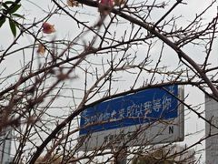 -成都欢乐谷