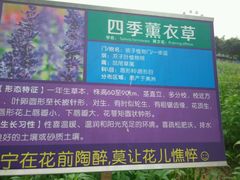 -广东花都香草世界旅游度假区