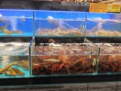 -苏格里岛自助烤肉海鲜火锅(成都金牛万达店)