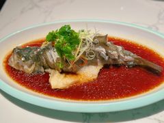 -T11生鲜超市(朝阳公园店)