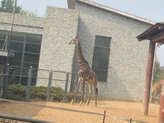 -石家庄市动物园