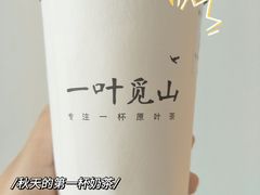 -一叶觅山(半边街店)