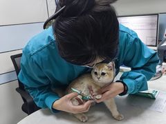 -中农国际动物医院24小时·猫科·骨科·急重症中心