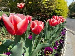 -无锡市市民中心