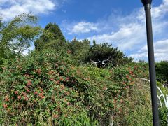 -国家植物园南园