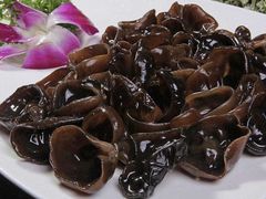 东北木耳-半天妖烤鱼(石岛店)