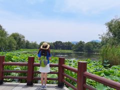 -长兴太湖图影湿地文化园