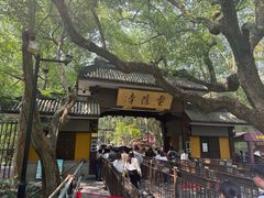 -楼外楼(西湖景区孤山路店)