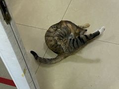 -东北风情(康桥路店)