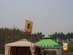 -秀丽东方