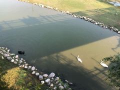 -北京麋鹿生态实验中心