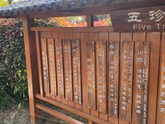 -天屿湖
