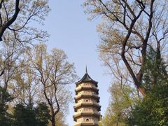 -灵谷景区