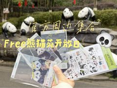 -都江堰中华大熊猫苑