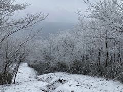 -湖州龙王山景区